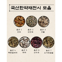 국산 한약재 100g 한방 재료 진피 인진쑥 강활 택란쉽싸리 작약 산수유 오가피껍질, 06.국내산 산수유 100g