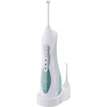 파나소닉 구강세정기 일반 / 교정치아 EW1313G + 추가노즐(EW0955) 쇼핑백 증정