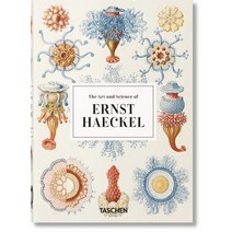 Ernst Haeckel - 40 Years Hardcover, Taschen
