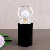 골프공 홀인원 기념품 원형 대형 케이스 보관함, 원형(소)_7.5x11cm
