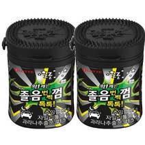 롯데제과 졸음번쩍껌 87g, 2개
