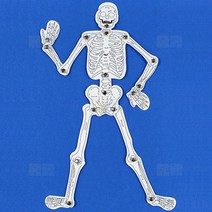 인체골격 만들기(우리몸의 뼈구조)/과학 실험 키트 교구 도구 만들기