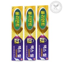 폴리덴트 맥스씰 의치접착제 70g 3통 의치용 틀니, 3개