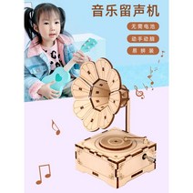 생활양판점 DIY 조립 종이오르골 수동 피아노 관람차 집 뮤직박스 쥬크박스, 축음기 손 크랭크 오르골