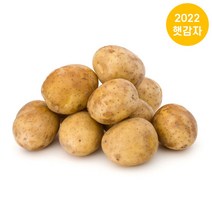 포슬포슬 맛있는 감자, 감자 3kg 중