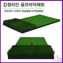 2단 실내 사무용 스윙 연습기 골프 매트 추천 가정용 연습 퍼팅 운동 실내 휴대 연습장, 단품