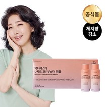 여에스더 L-카르니틴 부스터 앰플, 14병 x 1박스