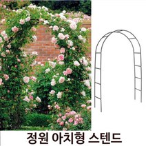 아치문 정원 아치문 넝쿨 장미 야외 화단꾸미기, 그린