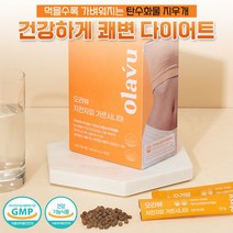 쾌변다이어트 똥배감소 탄수화물억제 체지방감소 식이섬유 차전자피+가르시니아, 2박스 (60포 / 탄수화물 지방합성 억제)