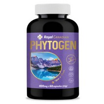로얄캐네디언 캐나다 Renu Bio 파이토젠 건강기능식품 400mg 60캡슐, 24g
