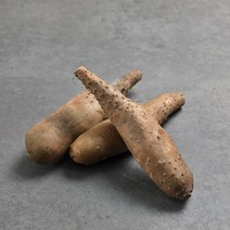 [더조은푸드] [서안동농협] 유명산지 산마 알뜰 2kg