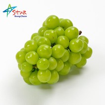 고당도 영천스타 샤인머스켓 2kg 3~4수