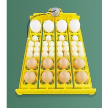계란 부화기 병아리집 메추라기 계란 인큐베이터 터너 자동 회전 계란 트레이 가금류 인큐베이터 장비 닭, 01 DC12V