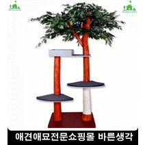 뇌졸중예방혈관질환약한고양이면역강화 캣용품 고양이관절염 고양이길들이기, 1개