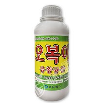 오복이1L - 비료 복합비료 식물영양제 유황비료 유황규산 수용성규산비료 병해충예방제 뿌리혹병 무름병 배추비료 고추비료 마늘썩음병 모두싹, 오복이1L 1병