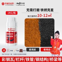 메탈 녹제거 프라이머 녹 환원제 1+1 제거제 금속 철 볼트 자동차 방청 전환제 수성프라이머 러스트, 1KG (브러쉬제공)