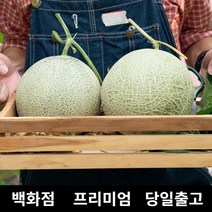 [특등급선별] 멜론 10kg MELON 멜론가격 포포열매 세지메론 메론 머스크멜론 양구메론 메론가격 곡성메론 하미과메론 매론 멜론선물 명절과일선물세트 곡성멜론 과일멜론 과일추천