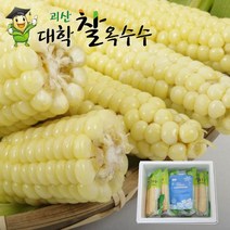 냉동 2023년 햇괴산 대학찰옥수수, 30개_햇거/무선별, 4k
