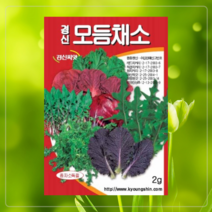 쌈채소씨앗 쌈채소 모듬상추 들깨 케일 겨자채 치커리 당귀 오크린 쌈배추 채소씨 텃밭
