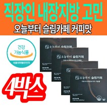 직장인 40대 내장지방 살빼기 커피 오늘부터 슬림카페 인증 추천 다이어트 입소문 가르시니아 식이섬유 차전자피 탄수화물 체내지방 2주 이주일 연예인 복부 허벅지 살 지방 체지방 똥배