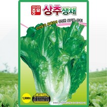 상추 생채 씨앗 생채 씨 종자 1500립, 1개
