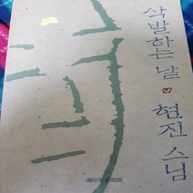 삭발하는 날/현진.해인사출판부 .1994