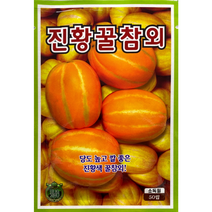 진황꿀참외 참외씨앗 50립