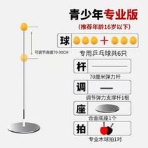 셀프 탁구 연습기 가정용 놀이 연습 고정형 라켓 공 증정, 짧은 버전- 나무 라켓 + 볼 6개