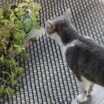 반려동물 고양이 강아지 접근금지 펜스 방지망 펜스Q 불투명 고정형