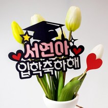 [아티파티토퍼] 심플 별 학사모 졸업 입학 꽃다발 케이크 토퍼 픽, 입학축하해, 01.핑크
