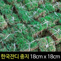 서경농원 천연잔디 18cm x 18cm 블럭, 1000장, 1개