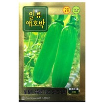 마디애호박 10알 호박 씨앗