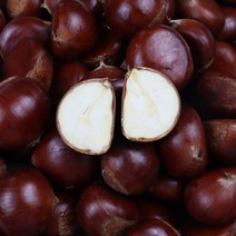 22년 햇밤 공주밤 정안밤 빛나는밤 옥광밤 2kg 4kg 생밤 공주옥광밤, 푸 공주밤 1등 옥광밤 대 2kg, 1개