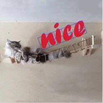 고양이 공중 다리 캣브릿지 캣타워 소나무원목 튼튼캣월 90cm 100cm 고양이 구름다리