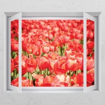 아트박스/꾸밈 ih341-튤립의 온화한 인사_창문그림액자_뮤럴시트지, B타입-외부창문형