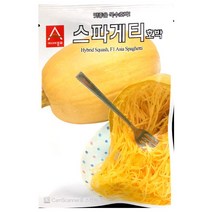 스파게티국수호박씨앗 25알 호박 국수호박 씨앗