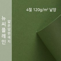 뉴씨플레인 종이문화 얇은 양면색지 120g 4절 낱장 1매 No.62 솔잎색, 1장