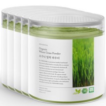 닥터비옴 100% 유기농 밀싹 가루 100g x 5개, 1세트 (5개입)