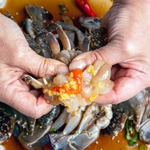 알베기 연평도 간장게장 최상급 암꽃게 3kg (4-5미)