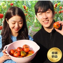 [토마토부부] 대저토마토 부산 농장직송 최상등급, 못난이 대저 찰 토마토 5kg (대과)