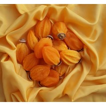 산청 지리산 못난이 곶감 (통감말랭이 500gx2) _해오름약초