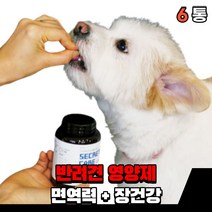 반려견 강아지 영양제 애완견 대형견 면역력 장 건강 개 노령견 유산균 먹는 면역영양제 새끼강아지 소형견 애견, 면역 + 장건강(6통)