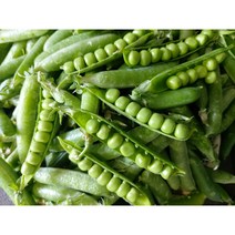 국내산 햇 생 (껍질)완두콩 1kg 2kg 4kg, 1개