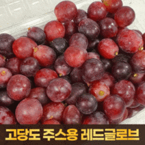 껍질째먹기좋은 못난이 레드글로브 알알이 적포도 4kg (2kg+2kg) 고당도, 단품