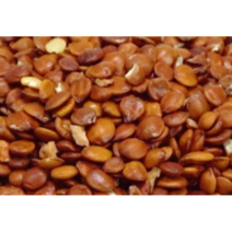 볶은 산조인 특 600g 묏대추 씨 산조인차 국내가공