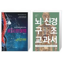 바디시크릿 테라피 + 뇌·신경 구조 교과서 (마스크제공)