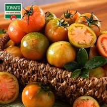 [부산산지직송] 못난이대저토마토 3kg x 2세트(총6kg/쥬스용)