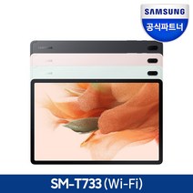 삼성전자 갤럭시탭 S7 FE SM-T733, 미스틱 그린, 128GB, Wi-Fi