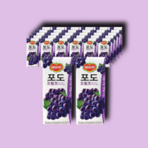 델몬트 포도 드링크 190ml 24팩 2박스(총 48팩)/과즙주스/주스/음료/과채음료