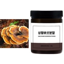 국내산 상황버섯100%분말 100g